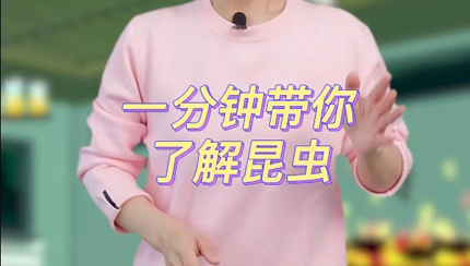 一分鐘了解昆蟲(chóng)